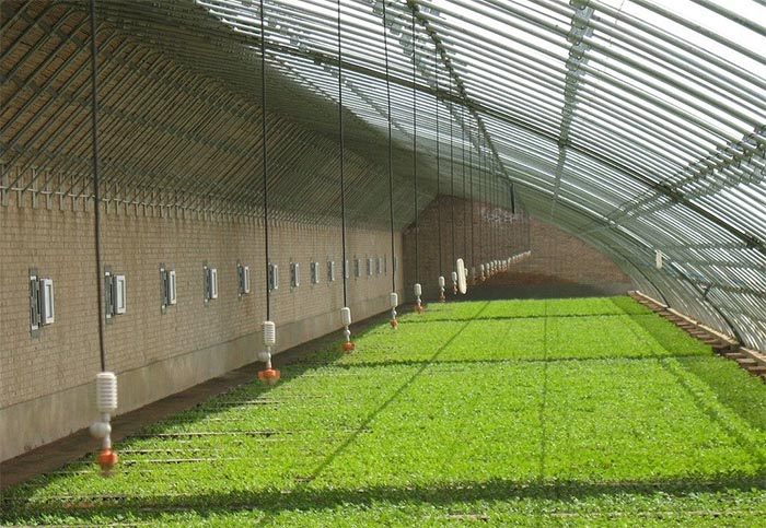 農業種植如何因地施肥?